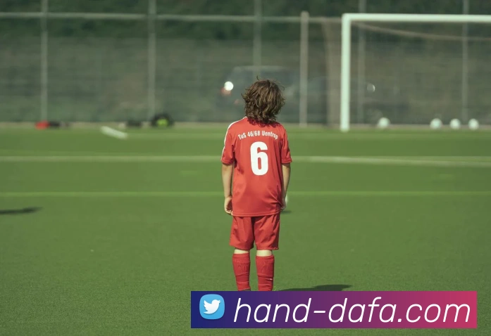 大发官网平台生态图