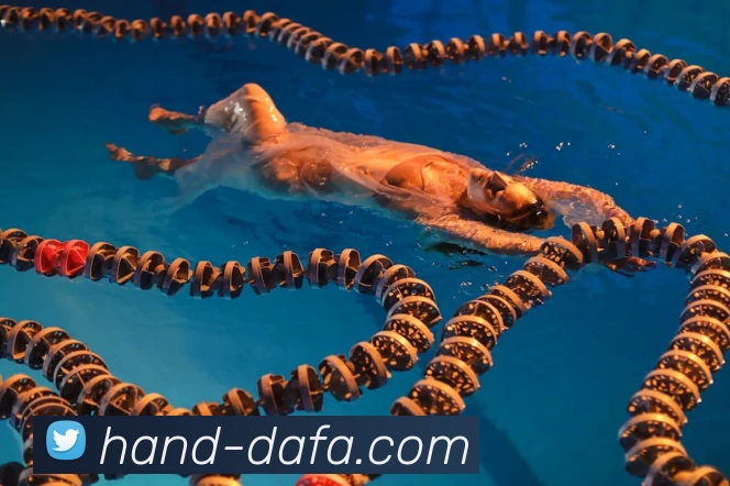 大发官网APP 封面图